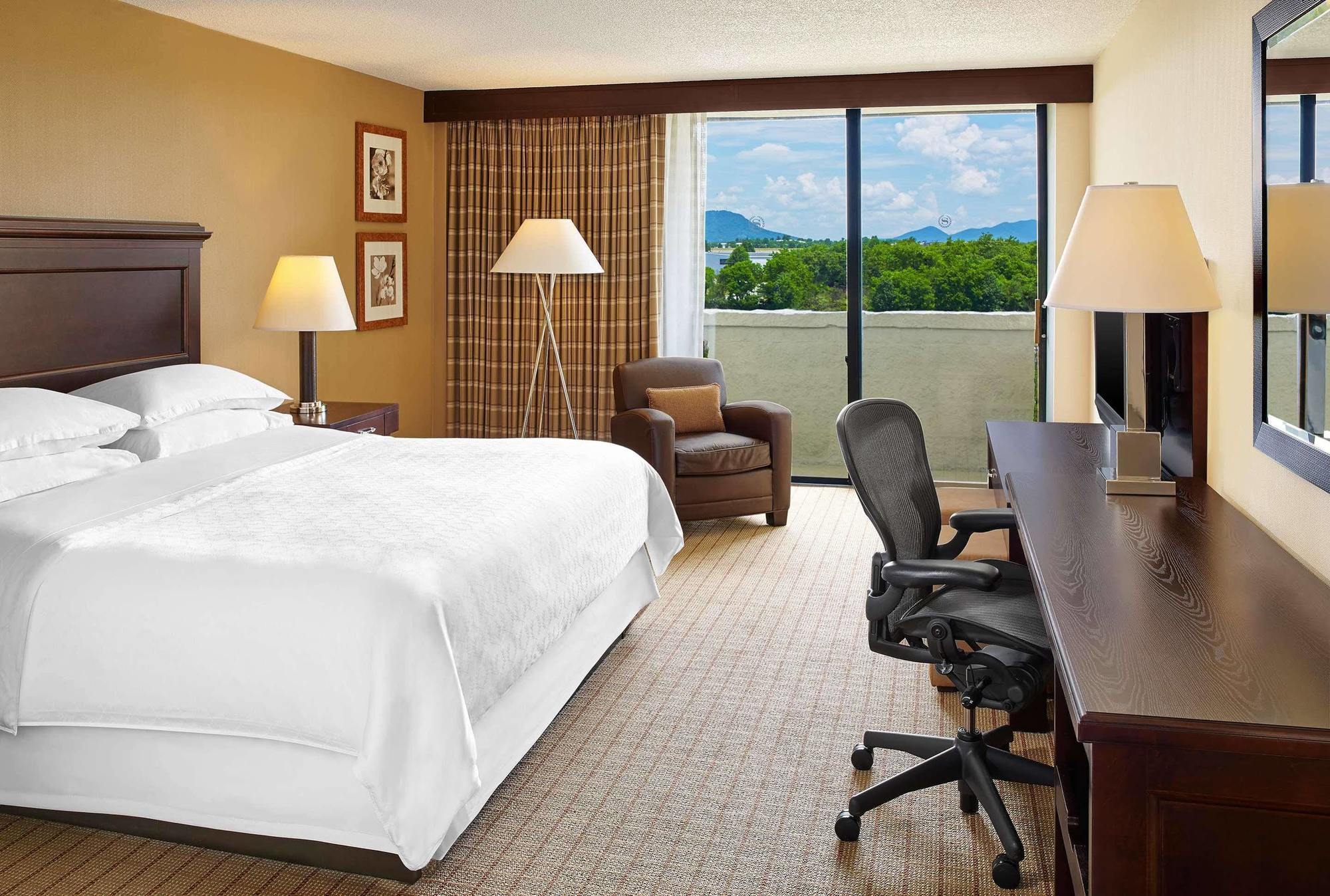 רואנוק Blue Ridge Hotel & Conference Center מראה חיצוני תמונה